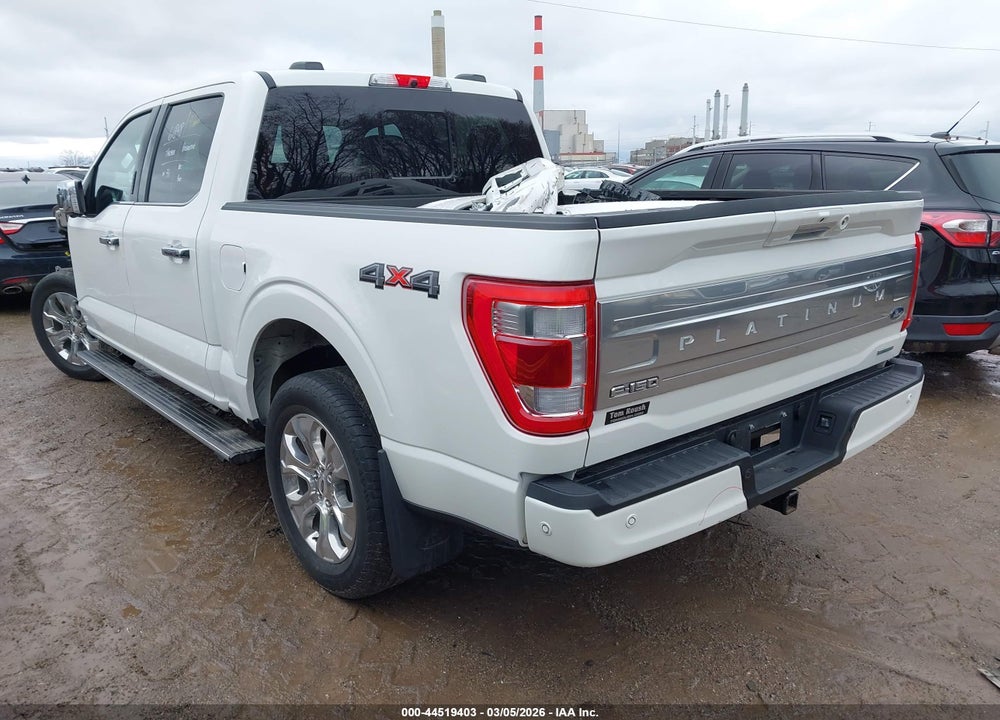 2023 FORD F-150 PLATINUM VIN: 1FTFW1E88PFA12174