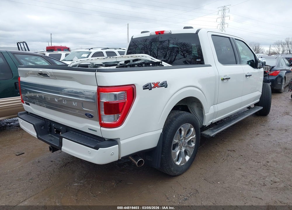 2023 FORD F-150 PLATINUM VIN: 1FTFW1E88PFA12174