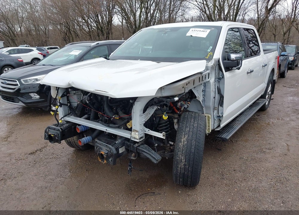 2023 FORD F-150 PLATINUM VIN: 1FTFW1E88PFA12174