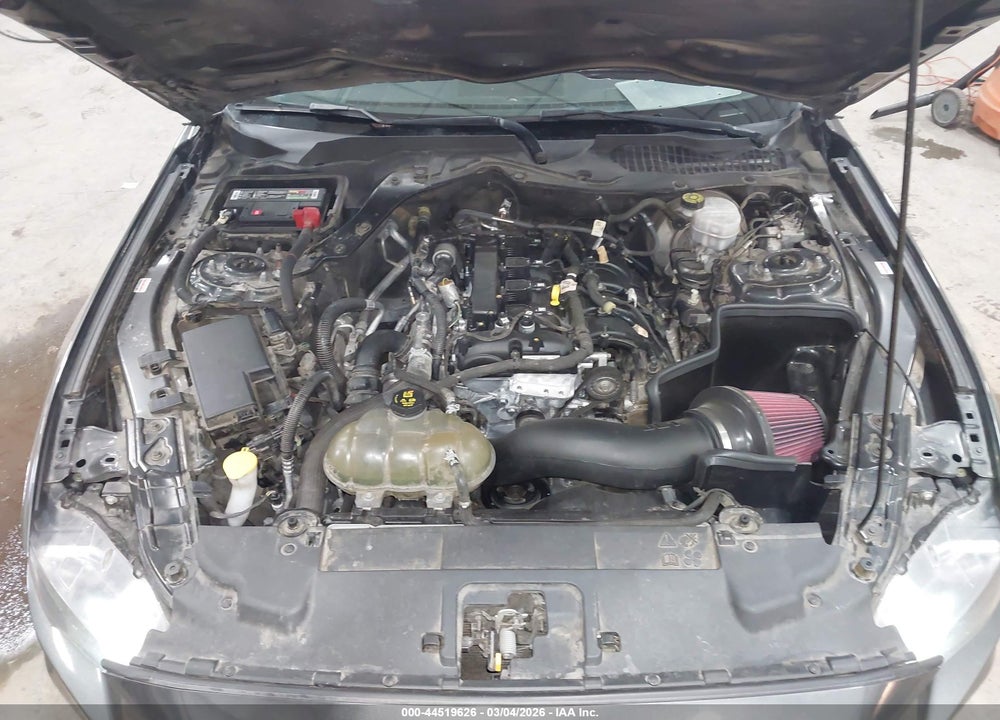 2019 FORD MUSTANG ECOBOOST VIN: 1FA6P8TH4K5125522