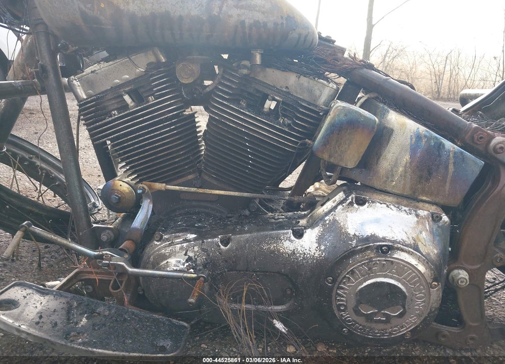 2004 HARLEY-DAVIDSON FLSTCI VIN: 1HD1BWB194Y059268