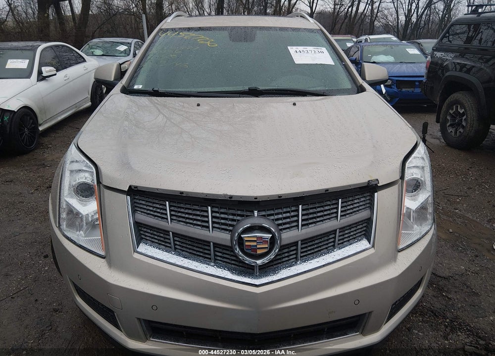 2011 CADILLAC SRX LUXURY COLLECTION VIN: 3GYFNAEY8BS653746