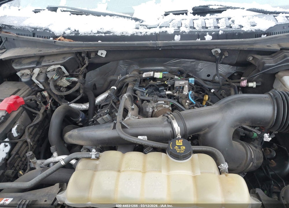 2019 FORD F-150 XL VIN: 1FTEW1EP4KFC22119