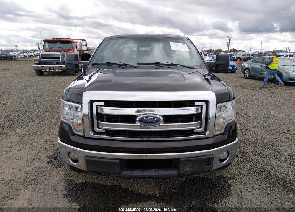 2013 FORD F-150 XLT VIN: 1FTFW1ET7DKF21504