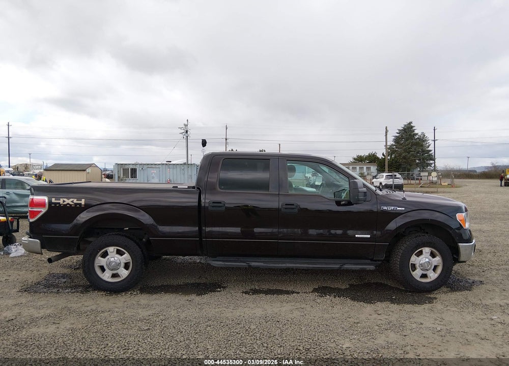 2013 FORD F-150 XLT VIN: 1FTFW1ET7DKF21504