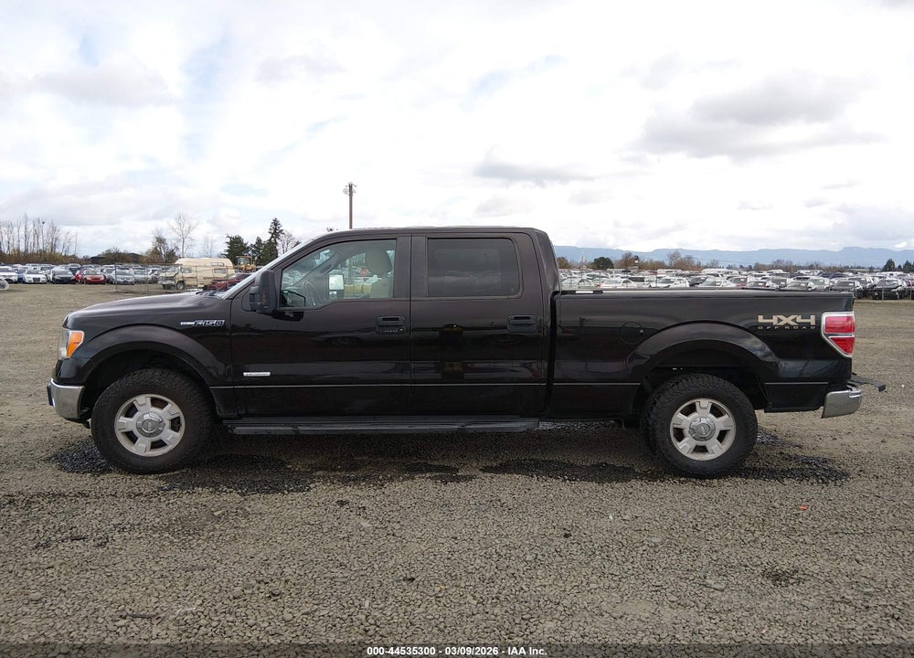 2013 FORD F-150 XLT VIN: 1FTFW1ET7DKF21504