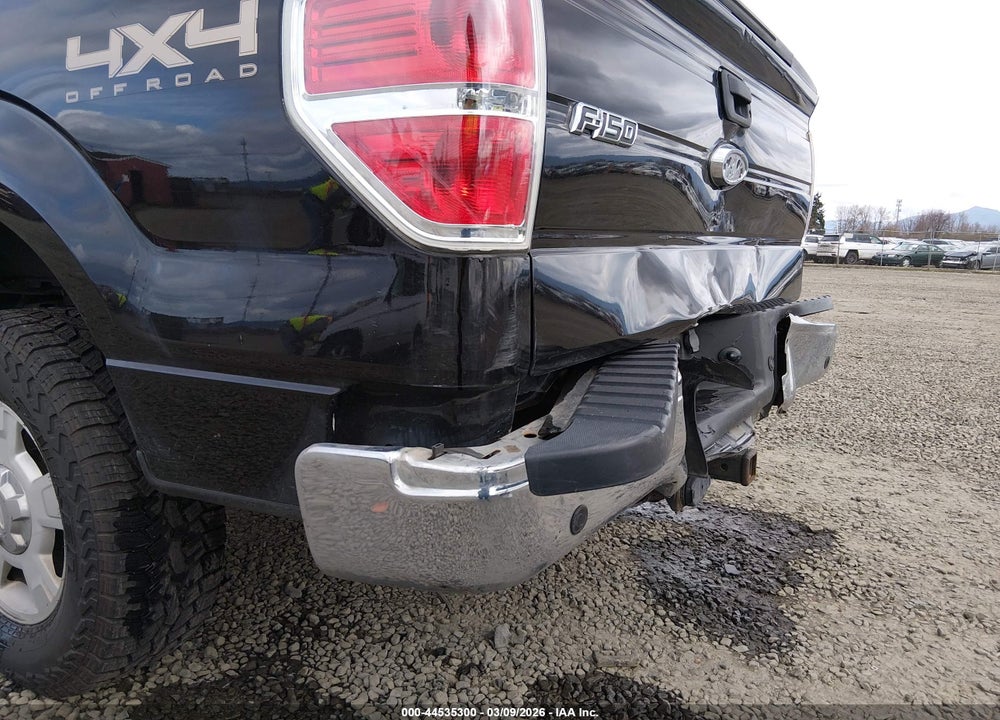 2013 FORD F-150 XLT VIN: 1FTFW1ET7DKF21504