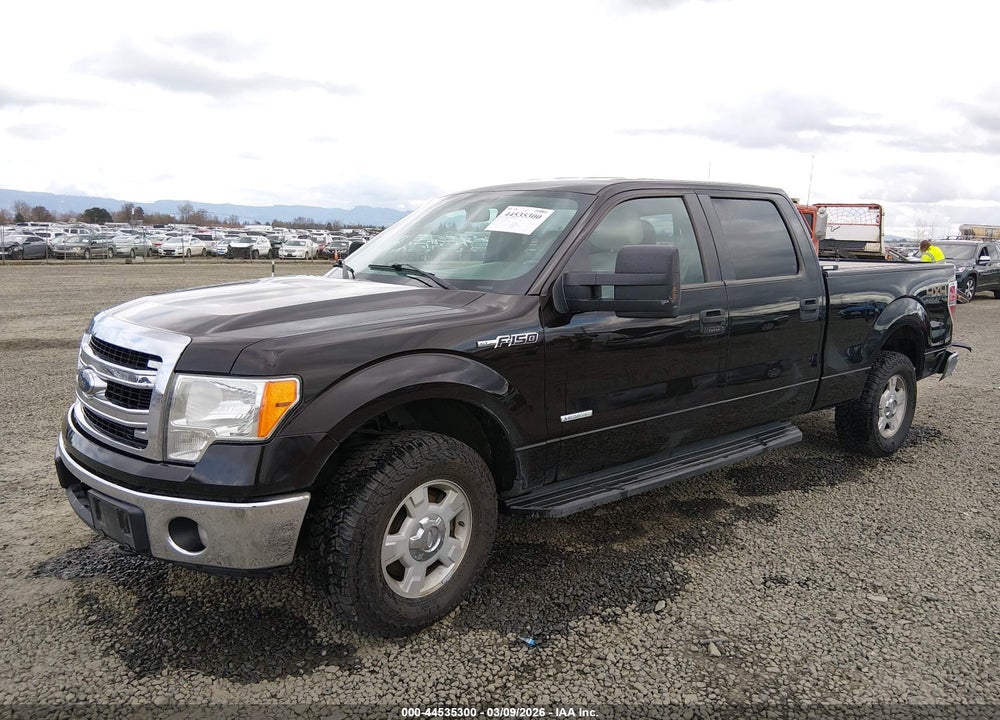 2013 FORD F-150 XLT VIN: 1FTFW1ET7DKF21504