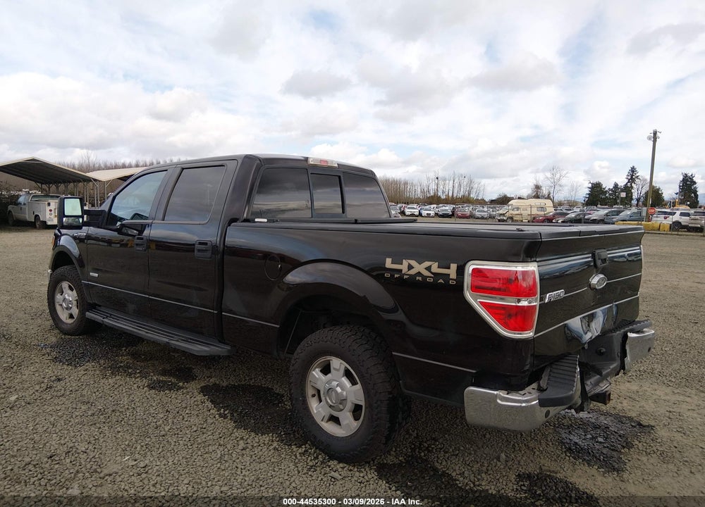2013 FORD F-150 XLT VIN: 1FTFW1ET7DKF21504
