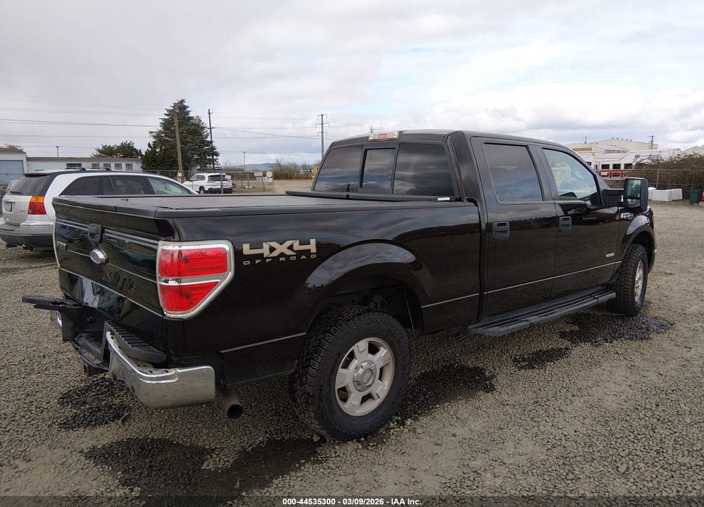2013 FORD F-150 XLT VIN: 1FTFW1ET7DKF21504