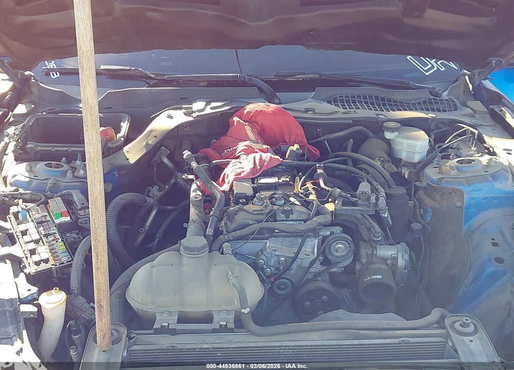 2019 FORD MUSTANG ECOBOOST VIN: 1FA6P8TH7K5143769