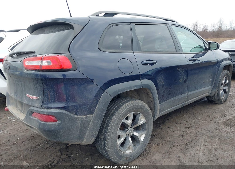 2016 JEEP CHEROKEE TRAILHAWK VIN: 1C4PJMBB6GW343436
