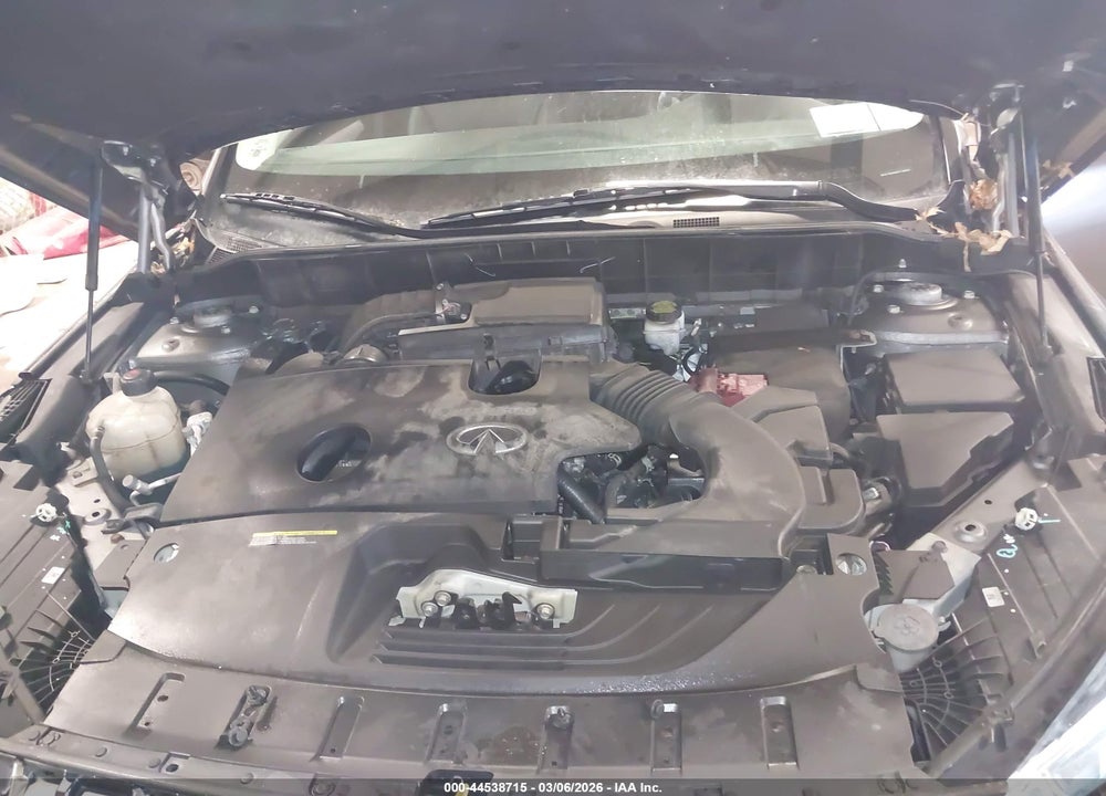 2019 INFINITI QX50 LUXE VIN: 3PCAJ5M39KF128888