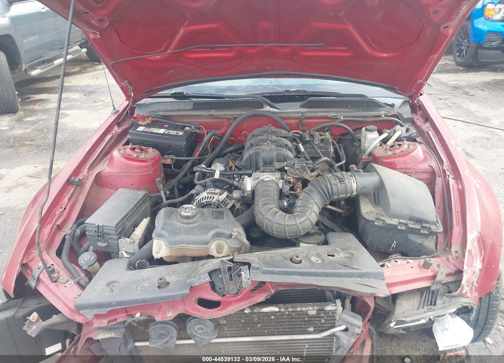 2009 FORD MUSTANG V6/V6 PREMIUM VIN: 1ZVHT80N095139871