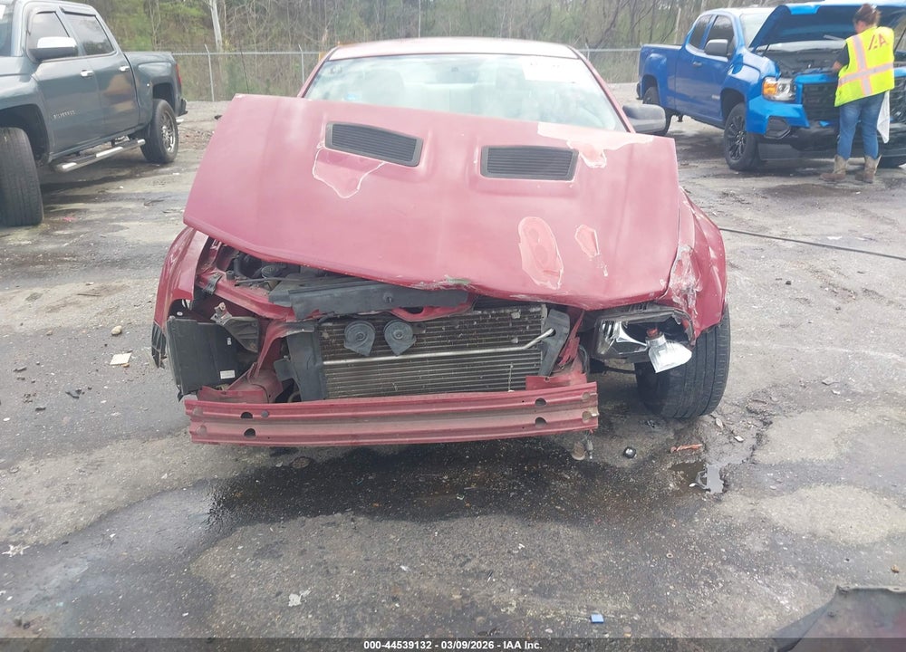 2009 FORD MUSTANG V6/V6 PREMIUM VIN: 1ZVHT80N095139871