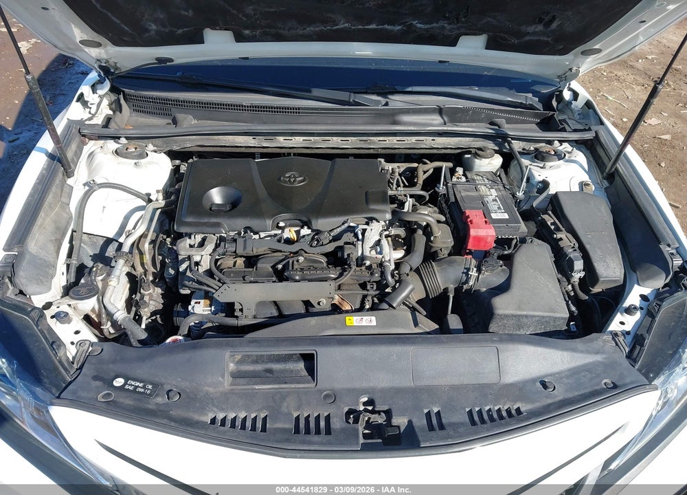 2019 TOYOTA CAMRY SE VIN: 4T1B11HK5KU703070