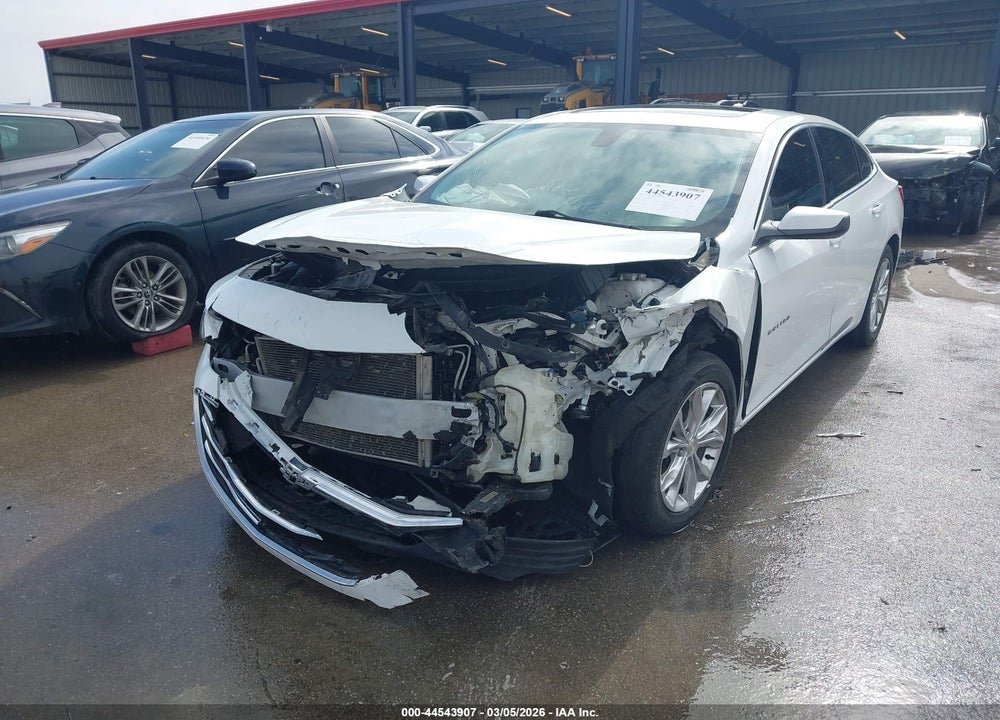 2019 CHEVROLET MALIBU LT VIN: 1G1ZD5ST9KF110747