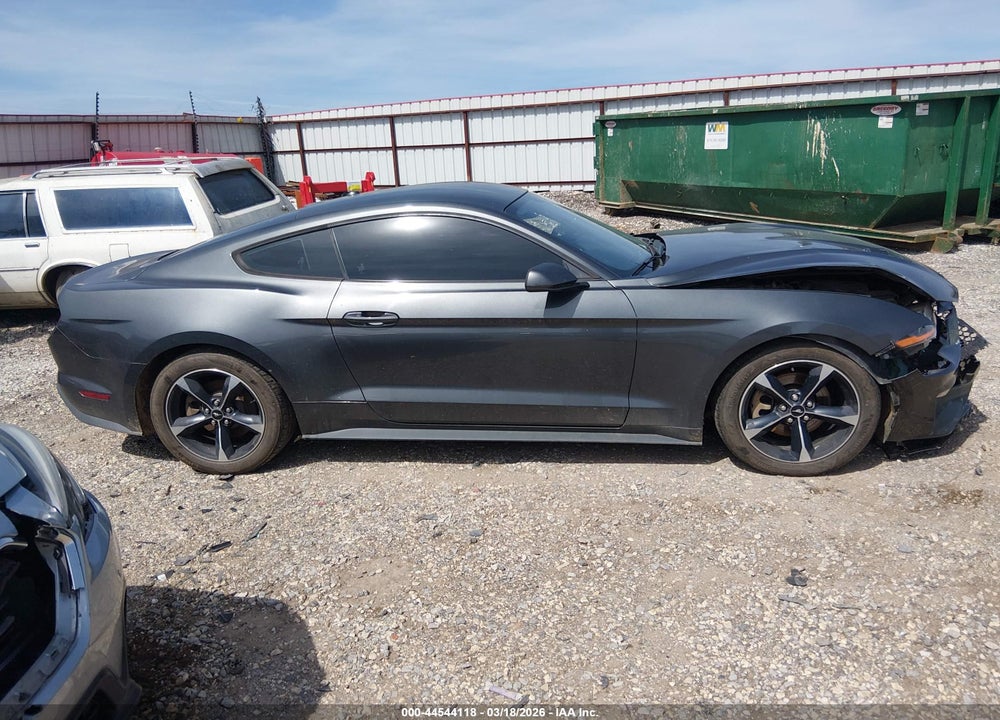 2019 FORD MUSTANG ECOBOOST VIN: 1FA6P8TH5K5175247