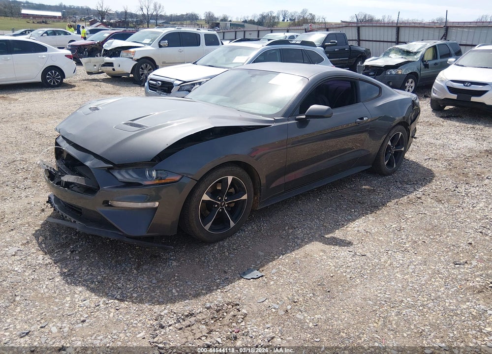 2019 FORD MUSTANG ECOBOOST VIN: 1FA6P8TH5K5175247