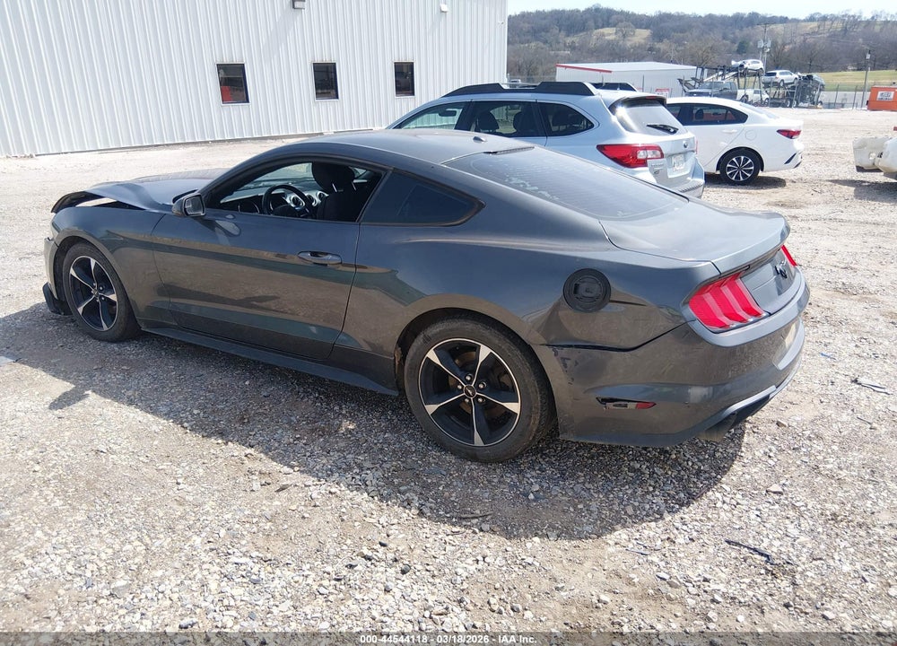 2019 FORD MUSTANG ECOBOOST VIN: 1FA6P8TH5K5175247