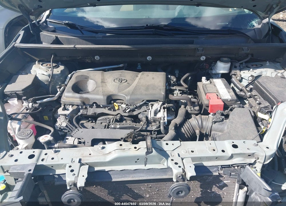 2019 TOYOTA RAV4 XLE PREMIUM VIN: 2T3C1RFV8KW045557