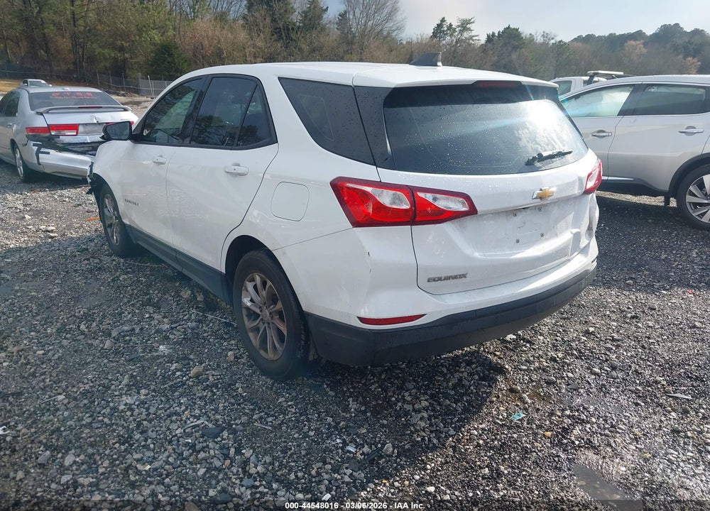 2019 CHEVROLET EQUINOX LS VIN: 2GNAXHEVXK6117962