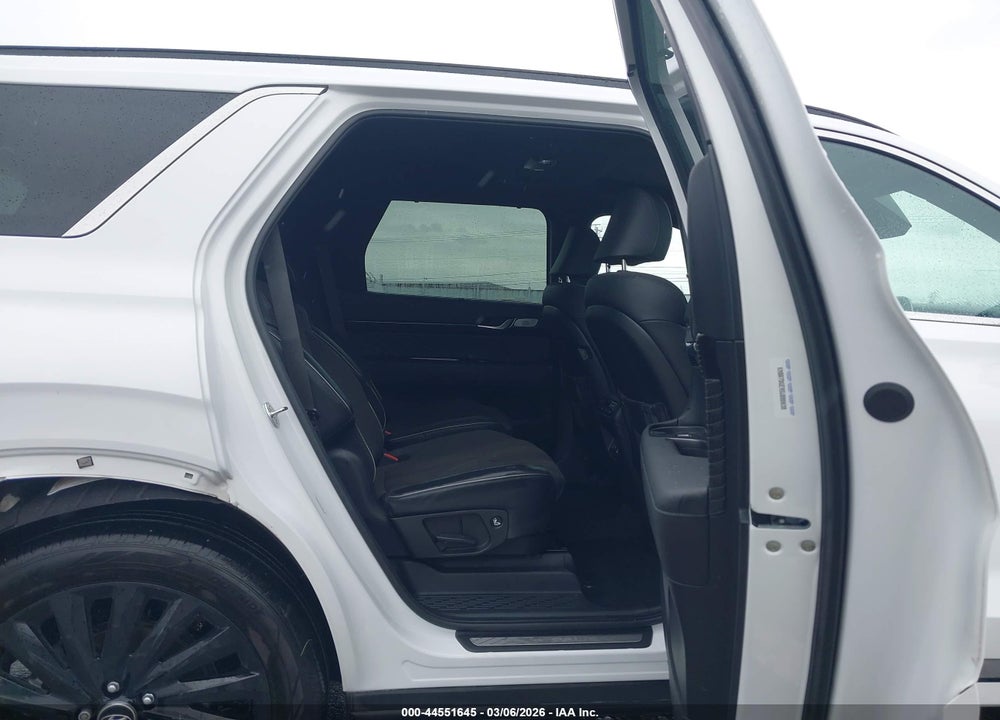 2025 HYUNDAI PALISADE CALLIGRAPHY NIGHT EDITION VIN: KM8R7DGE9SU888038