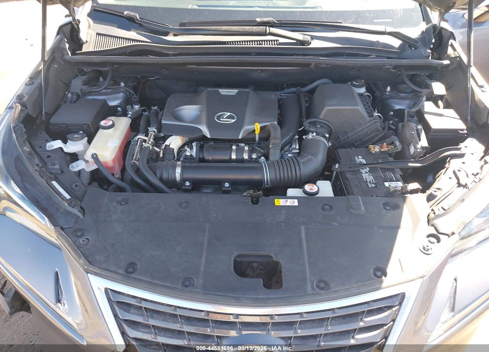 2020 LEXUS NX 300 VIN: JTJGARBZ3L2175800