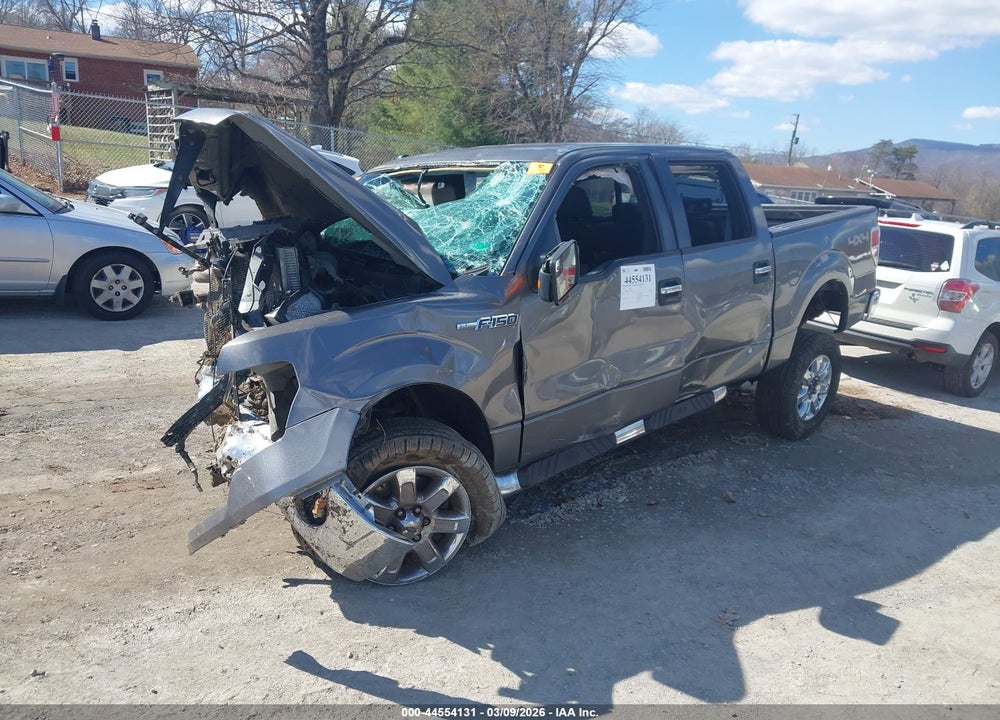 2013 FORD F-150 XLT VIN: 1FTFW1EFXDFB96494
