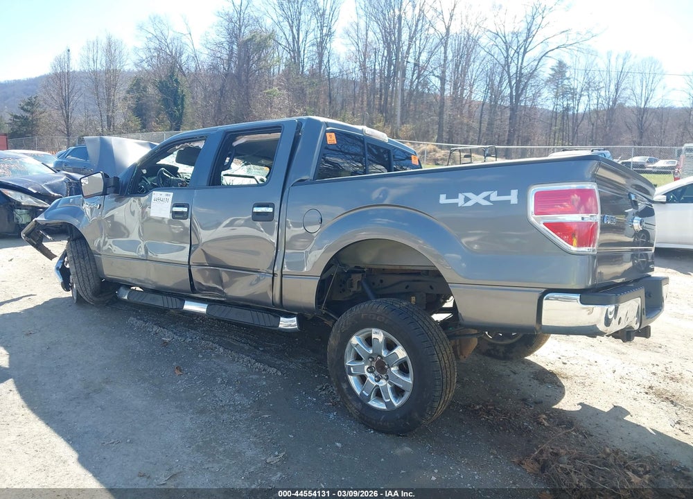 2013 FORD F-150 XLT VIN: 1FTFW1EFXDFB96494