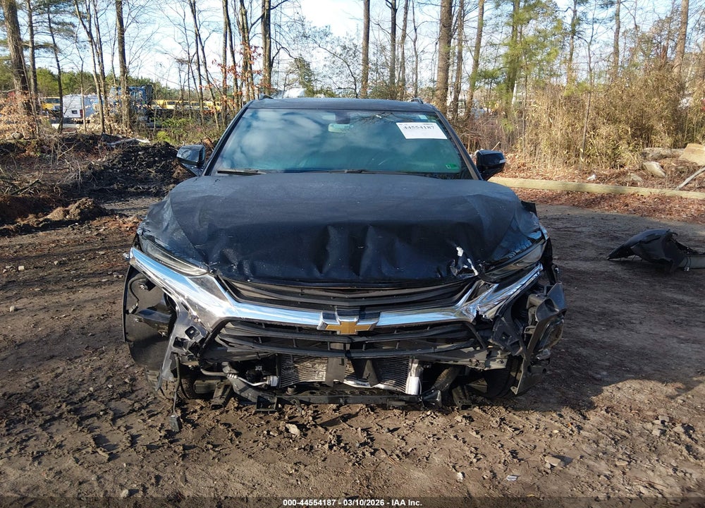 2019 CHEVROLET BLAZER VIN: 3GNKBBRA5KS694567