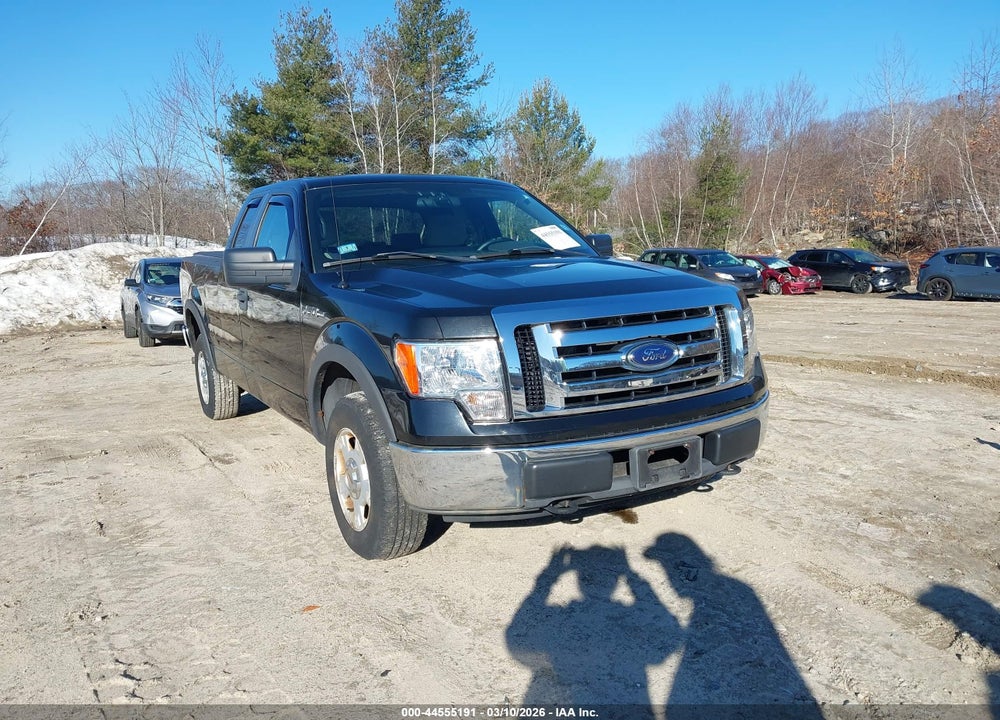 2009 FORD F-150 STX/XL/XLT VIN: 1FTRX14889FA26655