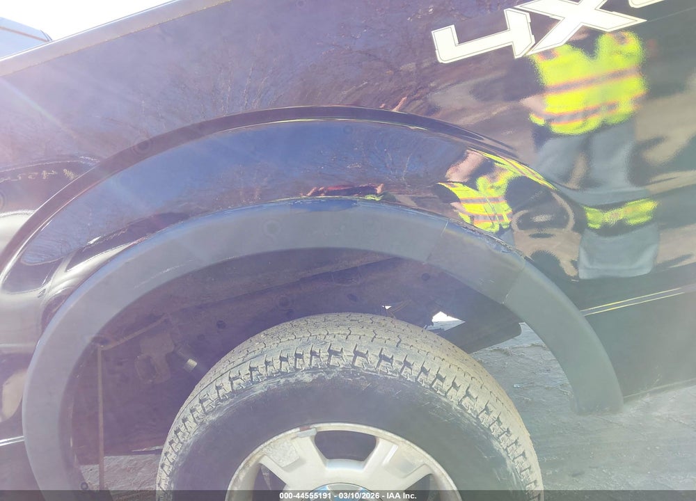 2009 FORD F-150 STX/XL/XLT VIN: 1FTRX14889FA26655