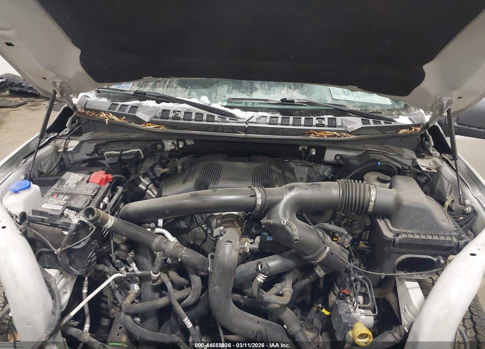 2019 FORD F-150 XLT VIN: 1FTEW1E4XKFA35893