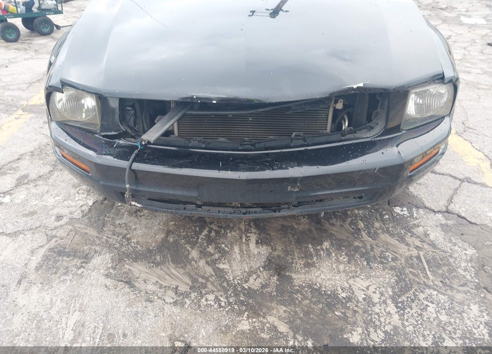 2006 FORD MUSTANG V6 VIN: 1ZVFT80N365132819