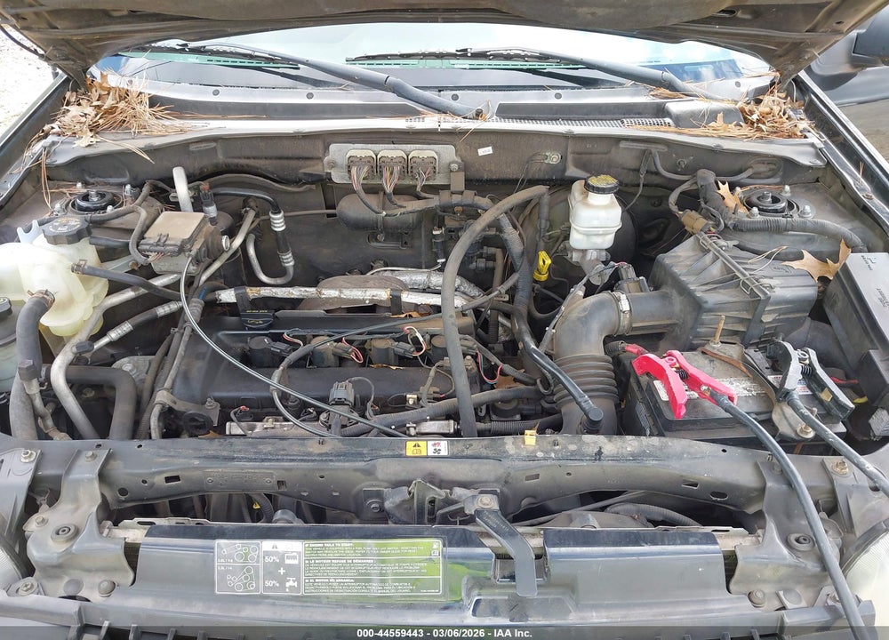 2007 FORD ESCAPE XLT VIN: 1FMYU03Z17KA62552