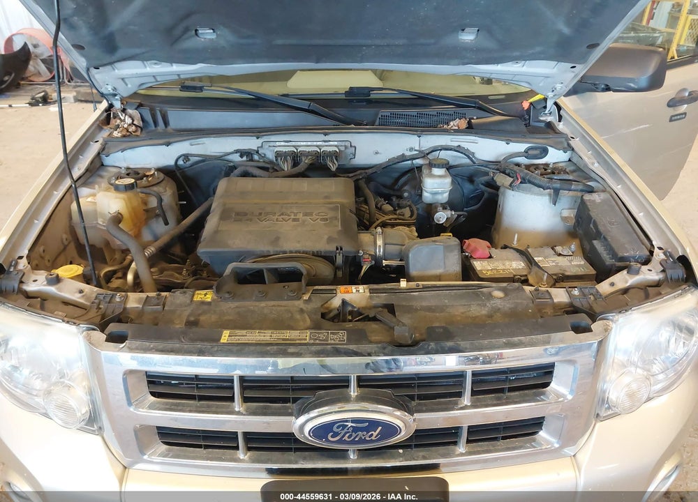 2010 FORD ESCAPE XLT VIN: 1FMCU0DG9AKD43917