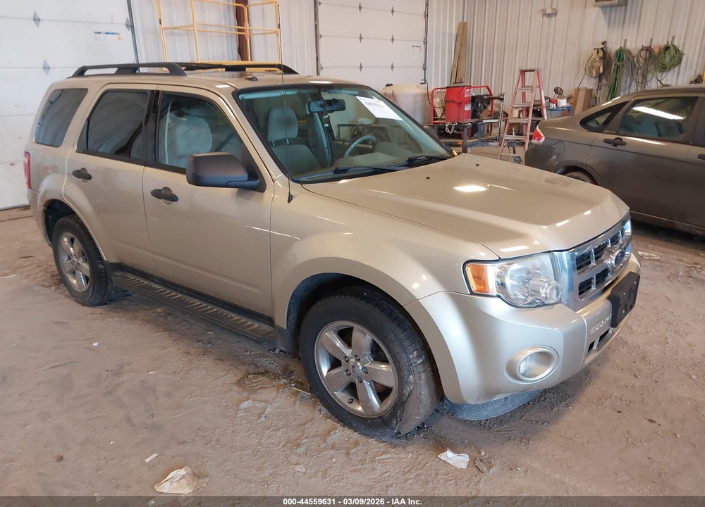 2010 FORD ESCAPE XLT VIN: 1FMCU0DG9AKD43917