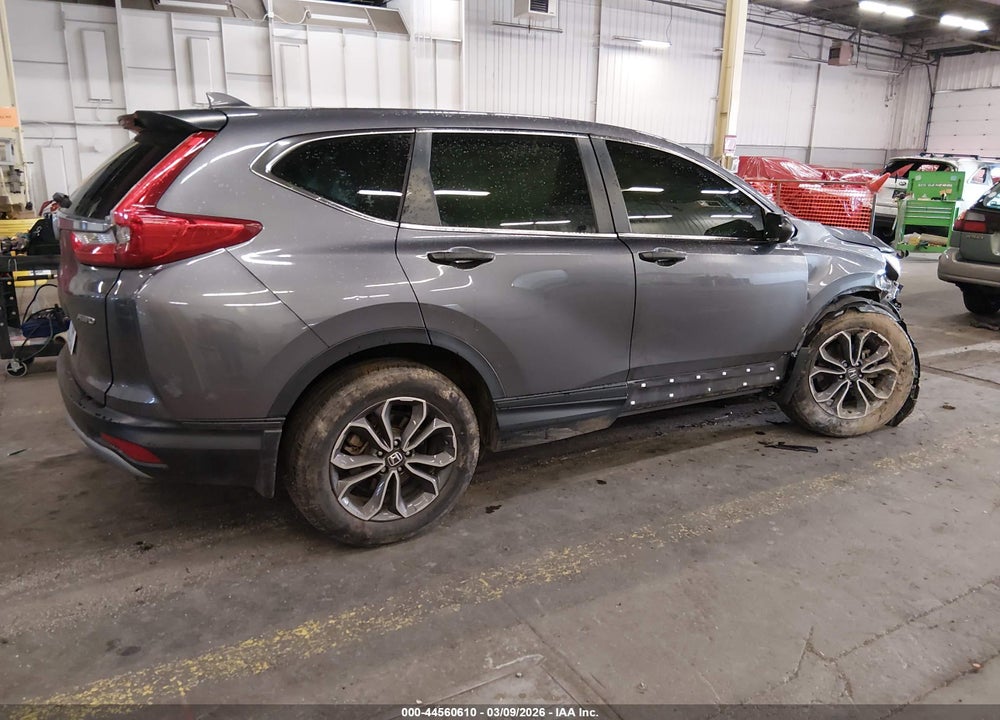 2019 HONDA CR-V VIN: 5J6RW6H31KL001306