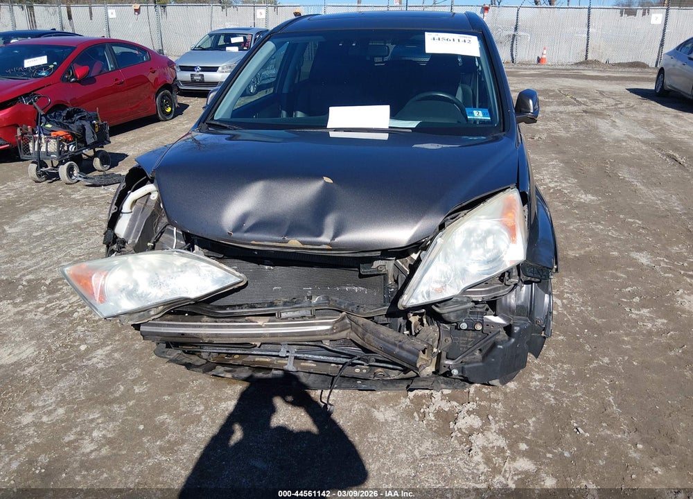 2010 HONDA CR-V EX-L VIN: 5J6RE4H70AL029459