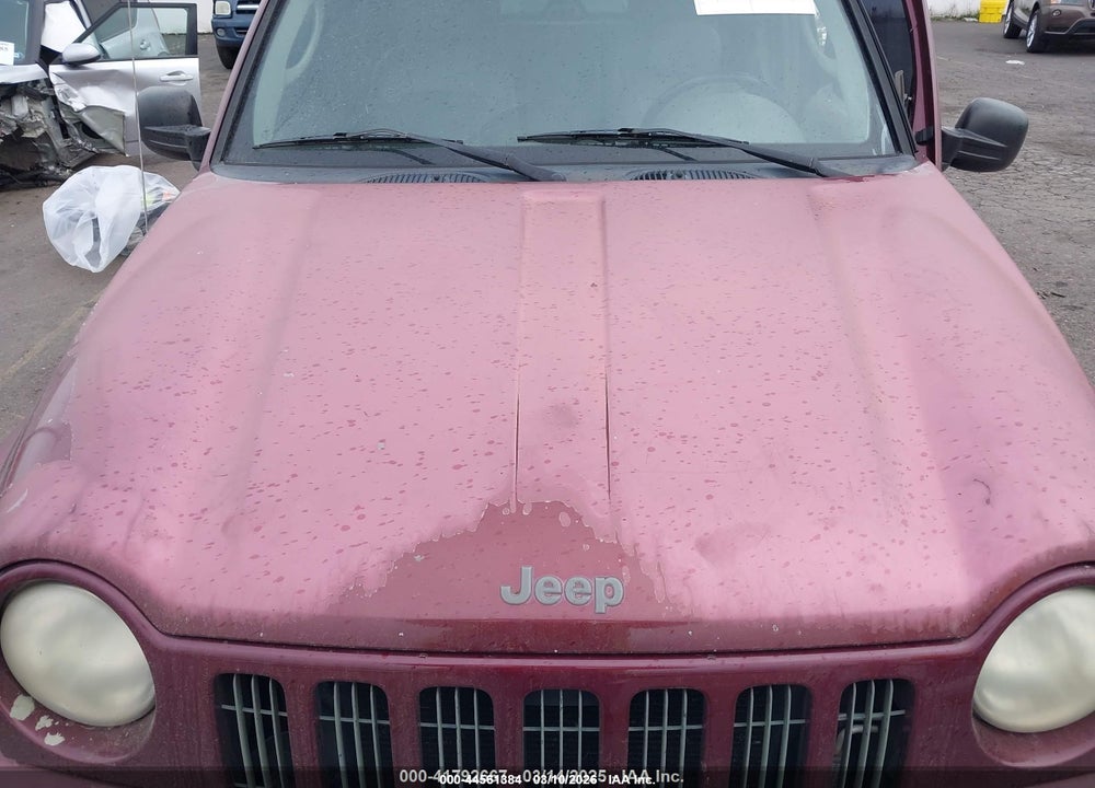 2002 JEEP LIBERTY LIMITED EDITION VIN: 1J4GL58K42W143052