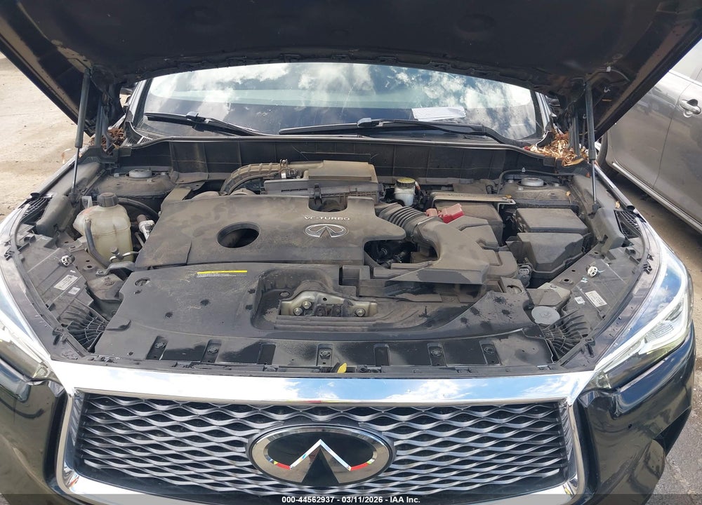 2019 INFINITI QX50 LUXE VIN: 3PCAJ5M31KF125211