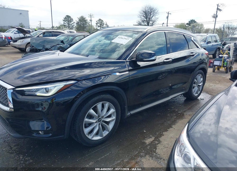 2019 INFINITI QX50 LUXE VIN: 3PCAJ5M31KF125211