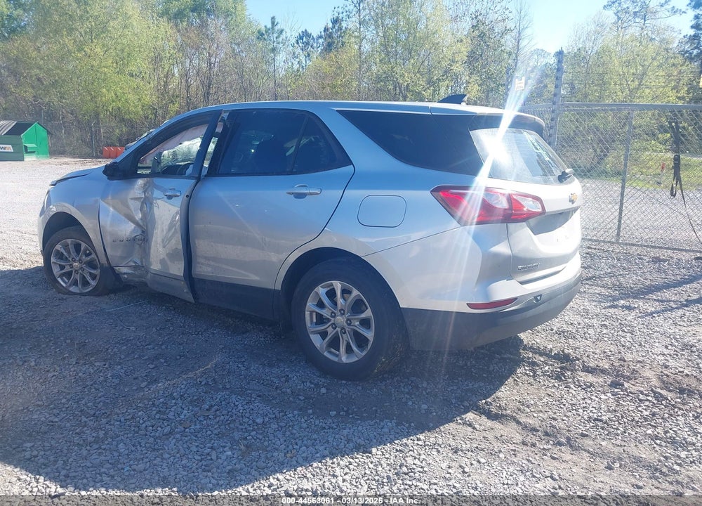 2019 CHEVROLET EQUINOX LS VIN: 3GNAXHEVXKS623986