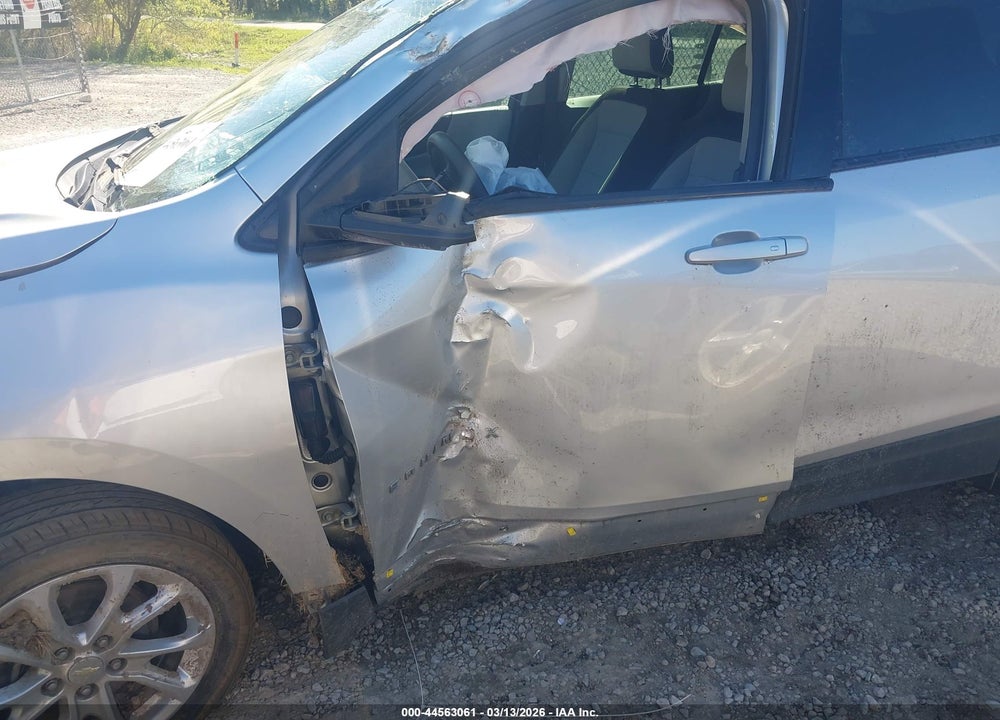 2019 CHEVROLET EQUINOX LS VIN: 3GNAXHEVXKS623986