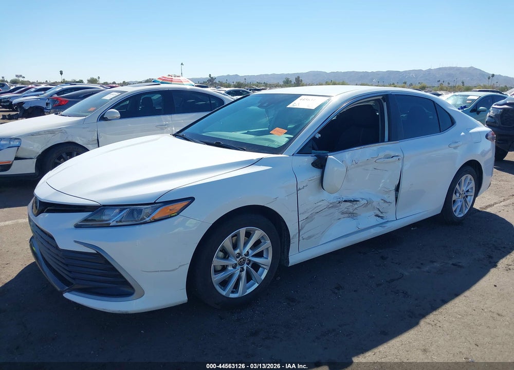 2023 TOYOTA CAMRY LE VIN: 4T1C11AK0PU800439