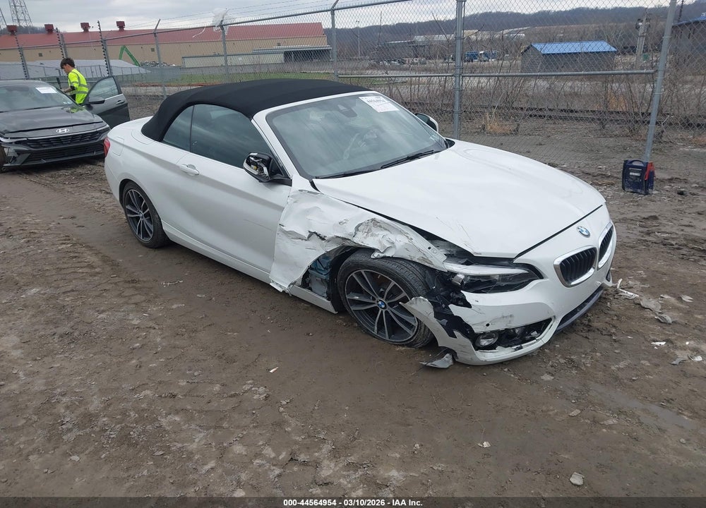 2019 BMW 230I XDRIVE VIN: WBA2K1C50KVD41789