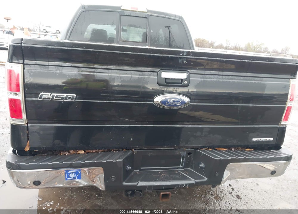 2014 FORD F-150 XLT VIN: 1FTFW1EF9EFA24409
