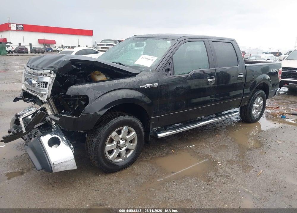 2014 FORD F-150 XLT VIN: 1FTFW1EF9EFA24409