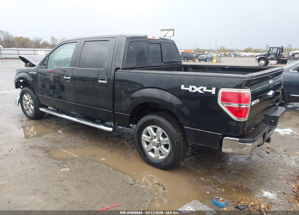 2014 FORD F-150 XLT VIN: 1FTFW1EF9EFA24409